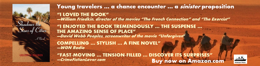 'Shadows the Sizes of Cities' a thriller novel set in Morocco by Gregory W Beaubien