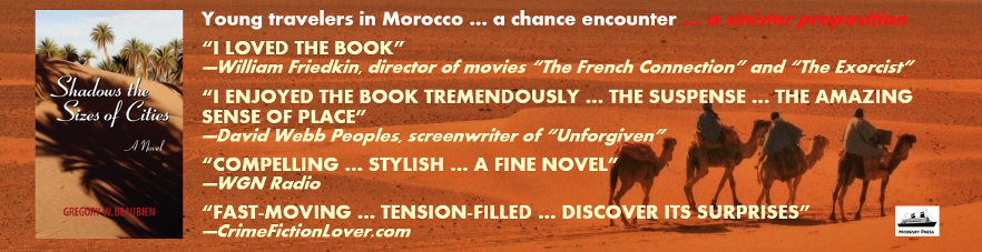 Shadows the Sizes of Cities a Morocco thriller novel by Gregory Beaubien ad showing book cover and praise from critics over Sahara desert scene