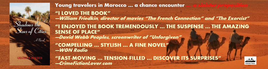 Shadows the Sizes of Cities a Morocco thriller novel by Gregory Beaubien ad showing book cover and praise from critics over Sahara desert scene
